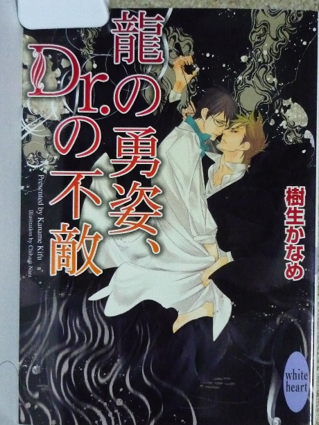 龍の勇姿、Dr.の不敵　樹生かなめ(著)